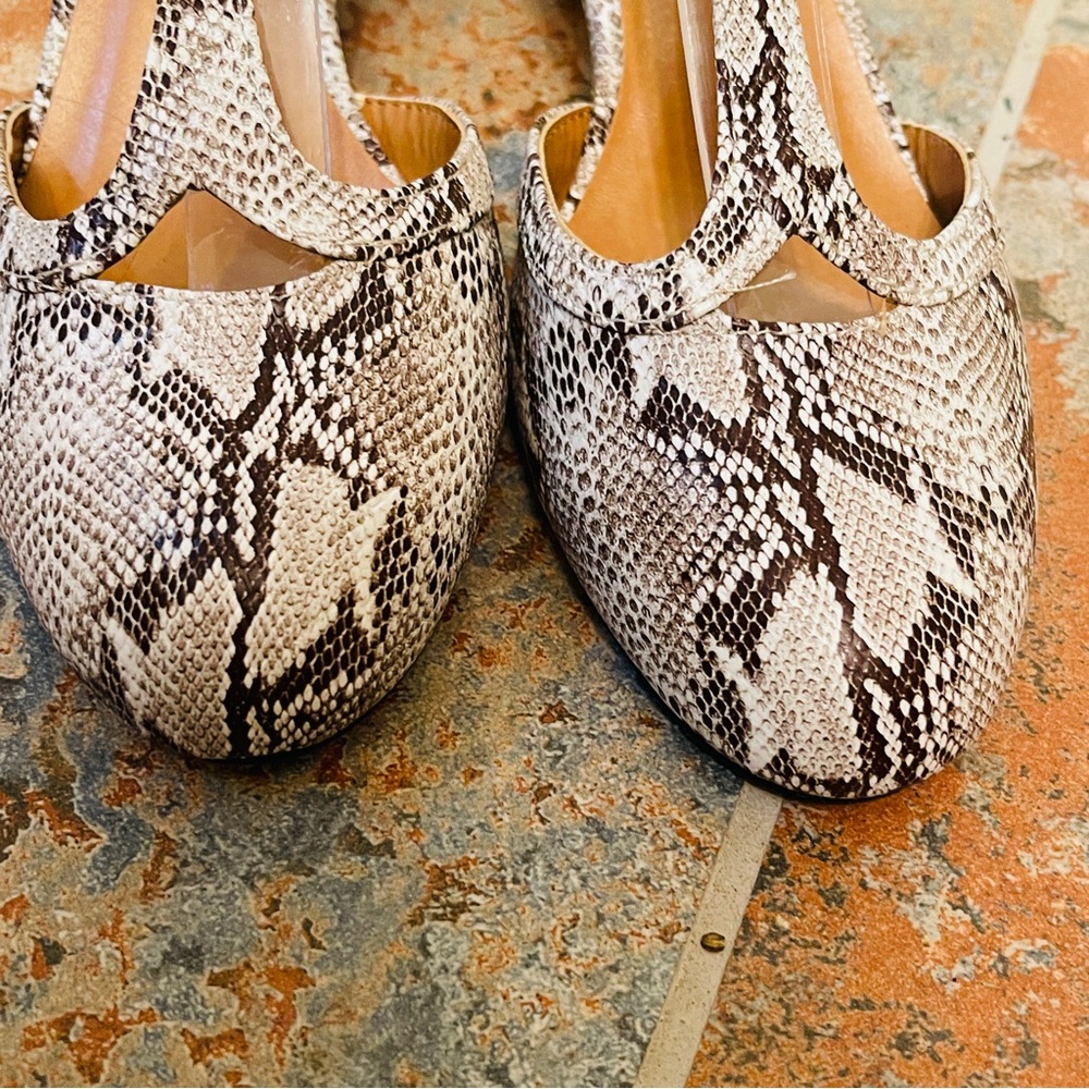 Nwob! Snake/Python Print Brown/Tan/Cream T-Strap … - image 3